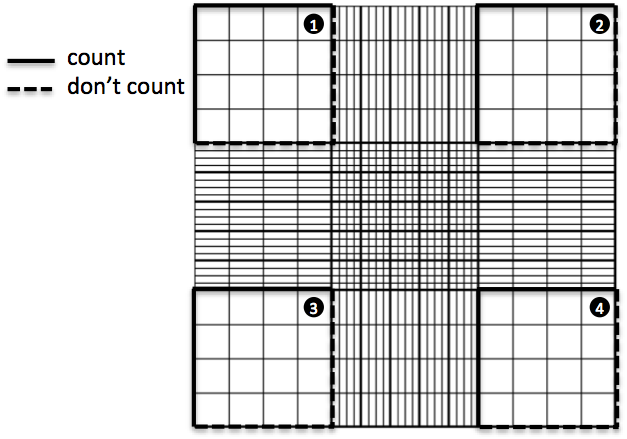 03m_3whemocytometer-squares-to-count.png